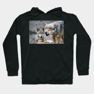 Two wolves Hoodie